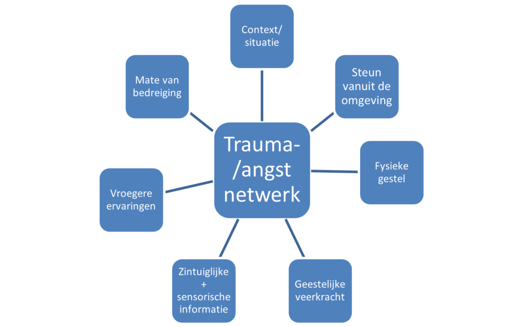 Trauma-netwerk